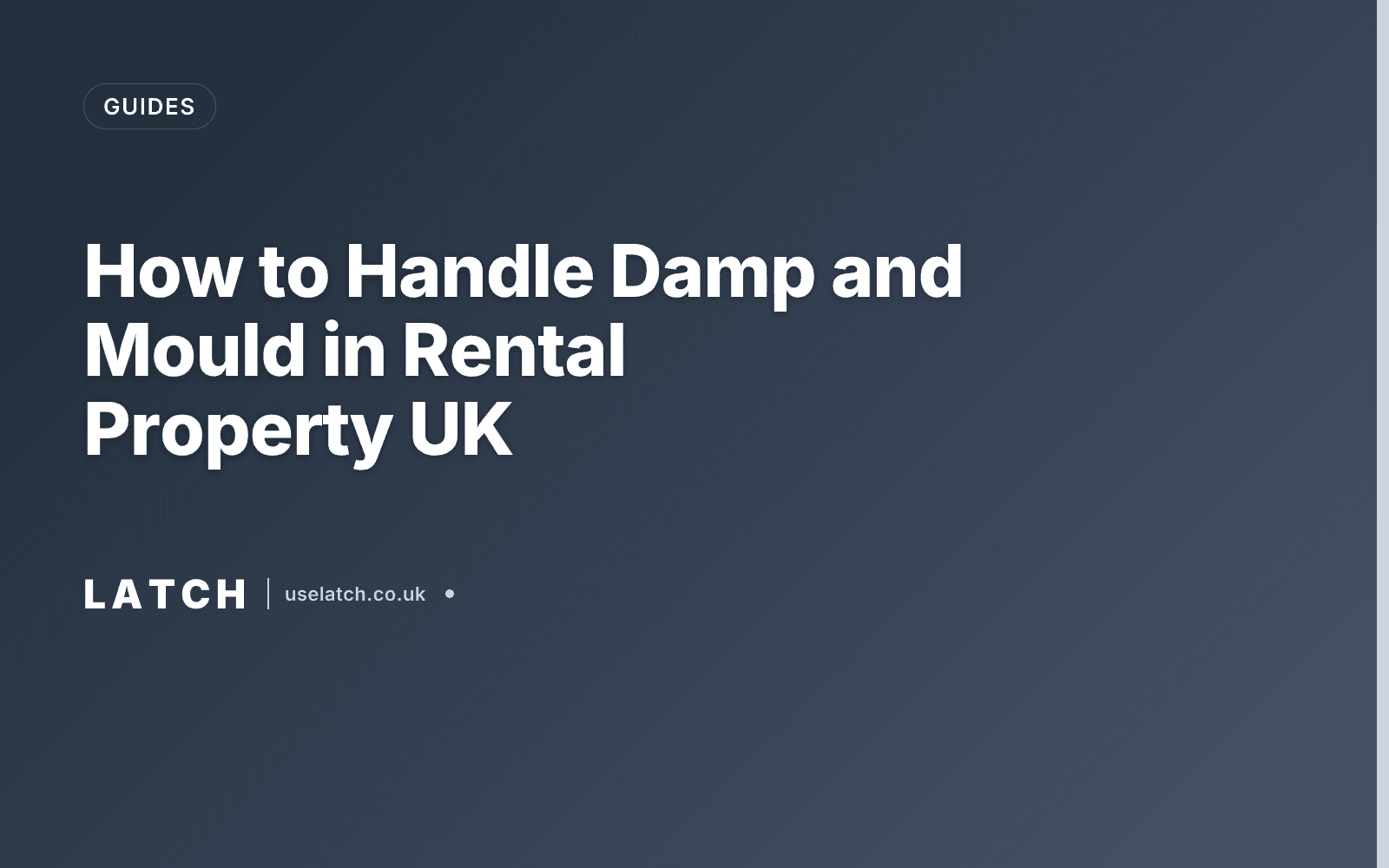 How to Handle Damp and Mould in Rental Property UK